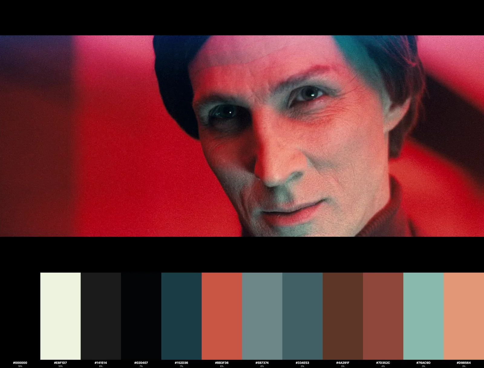 A completed PaletteFrame color profile with a selected film frame and twelve dominant colors